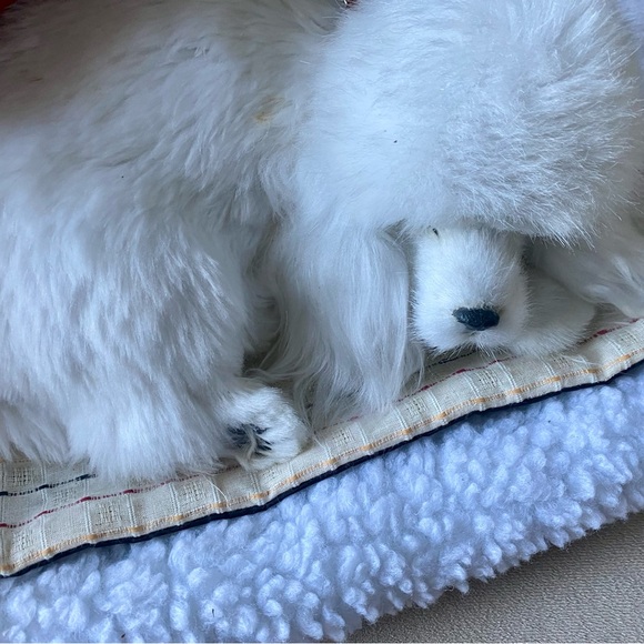 Perfect Petzz Poodle Bundle - Picture 3 of 8